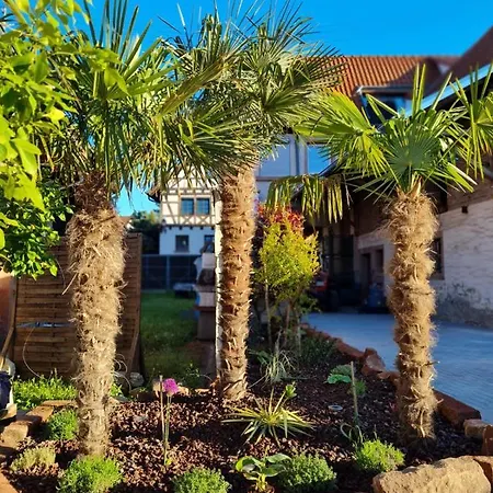 호텔 Kleines Wendel 4*