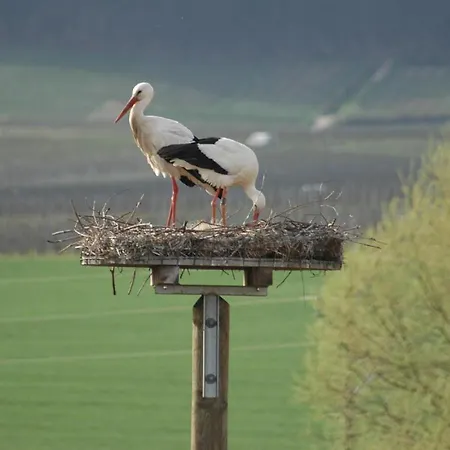 Kleines Wendel 호텔