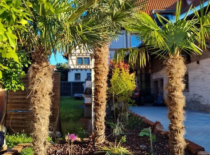 호텔 Kleines Wendel 4*