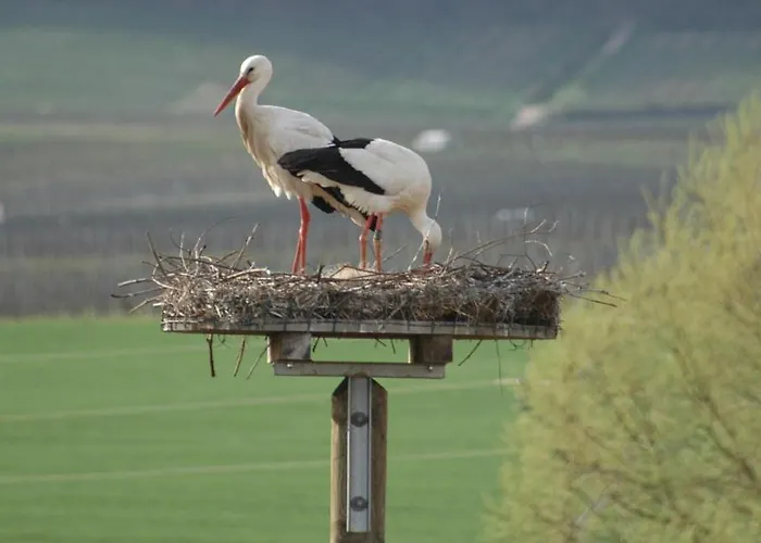 Kleines Wendel 호텔